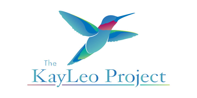 The KayLeo Project a nonprofit exclusively for nonprofits nonprofit web design nonprofit graphic design nonprofit nonprofit website optimization how to build a website websites for nonprofits graphic design for nonprofits